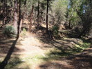 photo thumbnail #10