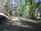 photo thumbnail #11