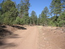 photo thumbnail #12