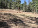 photo thumbnail #13