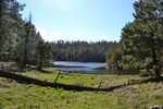 photo thumbnail #8