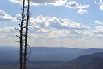 photo thumbnail #12