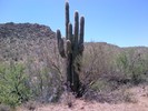 photo thumbnail #4