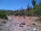 photo thumbnail #13