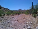 photo thumbnail #15