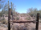photo thumbnail #9