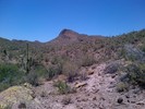 photo thumbnail #5