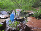 2013-05-15 :2: Boucher Trail :: cactuscat