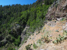 photo thumbnail #11