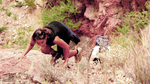 photo thumbnail #14