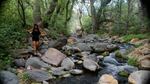 photo thumbnail #1