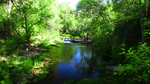 photo thumbnail #15