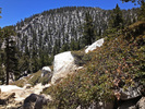 photo thumbnail #7