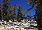 photo thumbnail #8