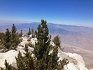 photo thumbnail #11