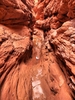photo thumbnail #14