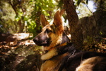 photo thumbnail #1