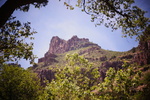 photo thumbnail #4
