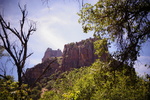 photo thumbnail #7