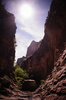 photo thumbnail #13