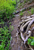 photo thumbnail #11