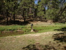 photo thumbnail #9