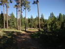 photo thumbnail #11