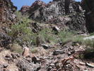 photo thumbnail #11