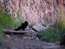 photo thumbnail #15