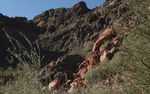 photo thumbnail #6
