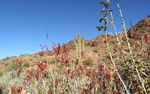 photo thumbnail #7