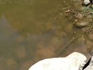 photo thumbnail #13