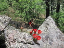 photo thumbnail #6