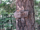 photo thumbnail #10
