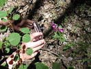 photo thumbnail #11