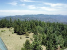 photo thumbnail #14