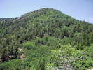 photo thumbnail #15