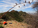 photo thumbnail #15