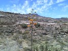 photo thumbnail #11