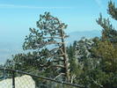 photo thumbnail #13