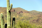 photo thumbnail #15