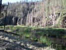 photo thumbnail #10