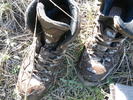 photo thumbnail #11