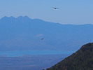 2013-05-19 :1: Zimmerman Point 6871 - Sierra Ancha :: Oregon_Hiker