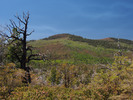photo thumbnail #8