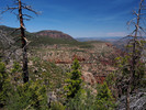 photo thumbnail #3