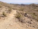 photo thumbnail #2