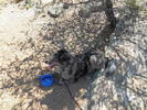 photo thumbnail #1
