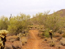 photo thumbnail #1