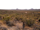 photo thumbnail #6